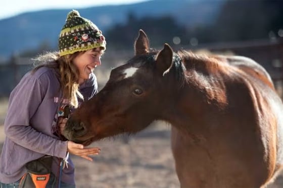 Clint the horse and his trainer, Shy