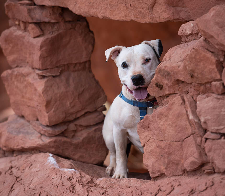 246004-Friends and Founders 2025 Invite Headers_LC3