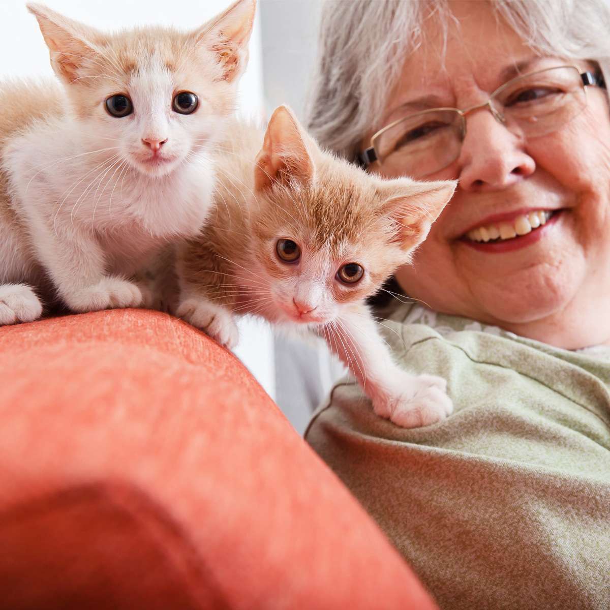 Jerilyn8903LF-1200x1200