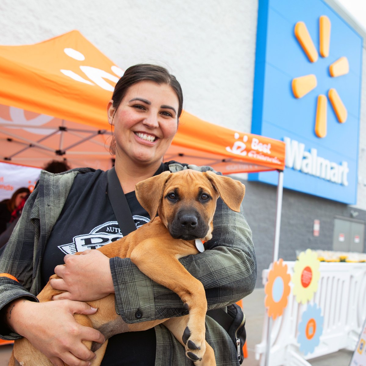 LaylaWalmartAdoptions7949sak-1200x1200